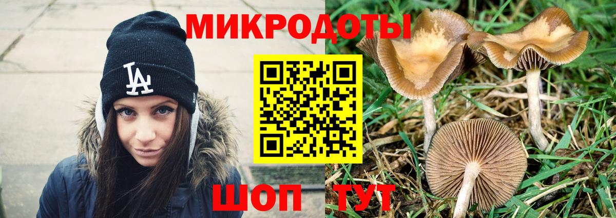 Черемхово  Галлюциногенные грибы GOLDEN TEACHER  Галлюциногенные грибы GOLDEN TEACHER  Вход с VPN 